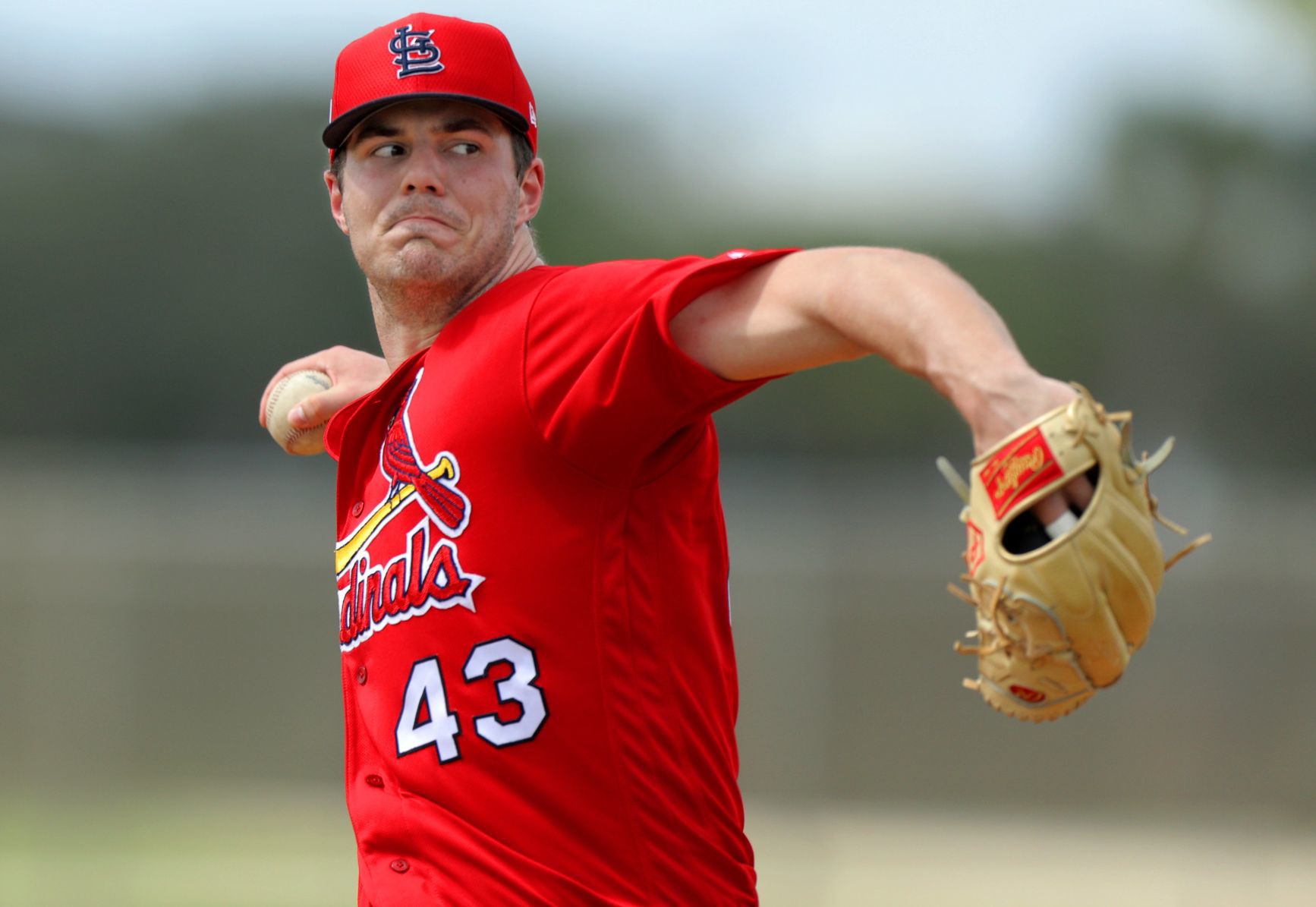 2019 Cardinals spring training